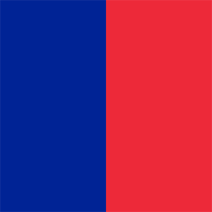PAris Flag
