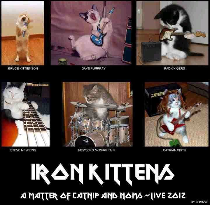 Iron Kittens