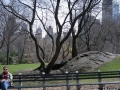 NYC, Central Park