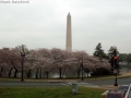 Washington, D.C. - Washington Monument