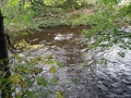 Water Of Leith